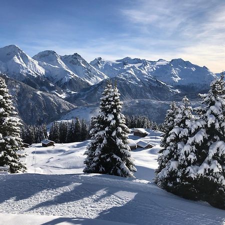 Hotel Alpsu Disentis Extérieur photo