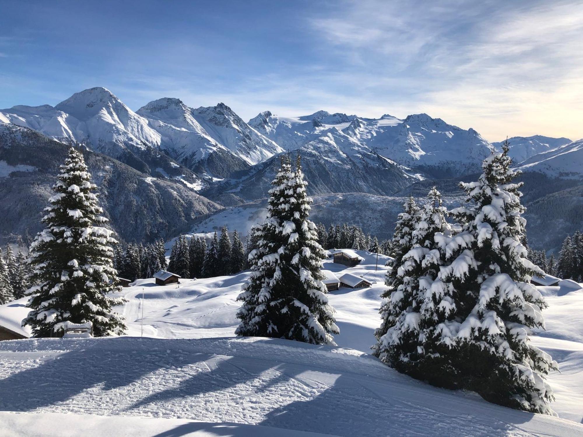 Hotel Alpsu Disentis Extérieur photo